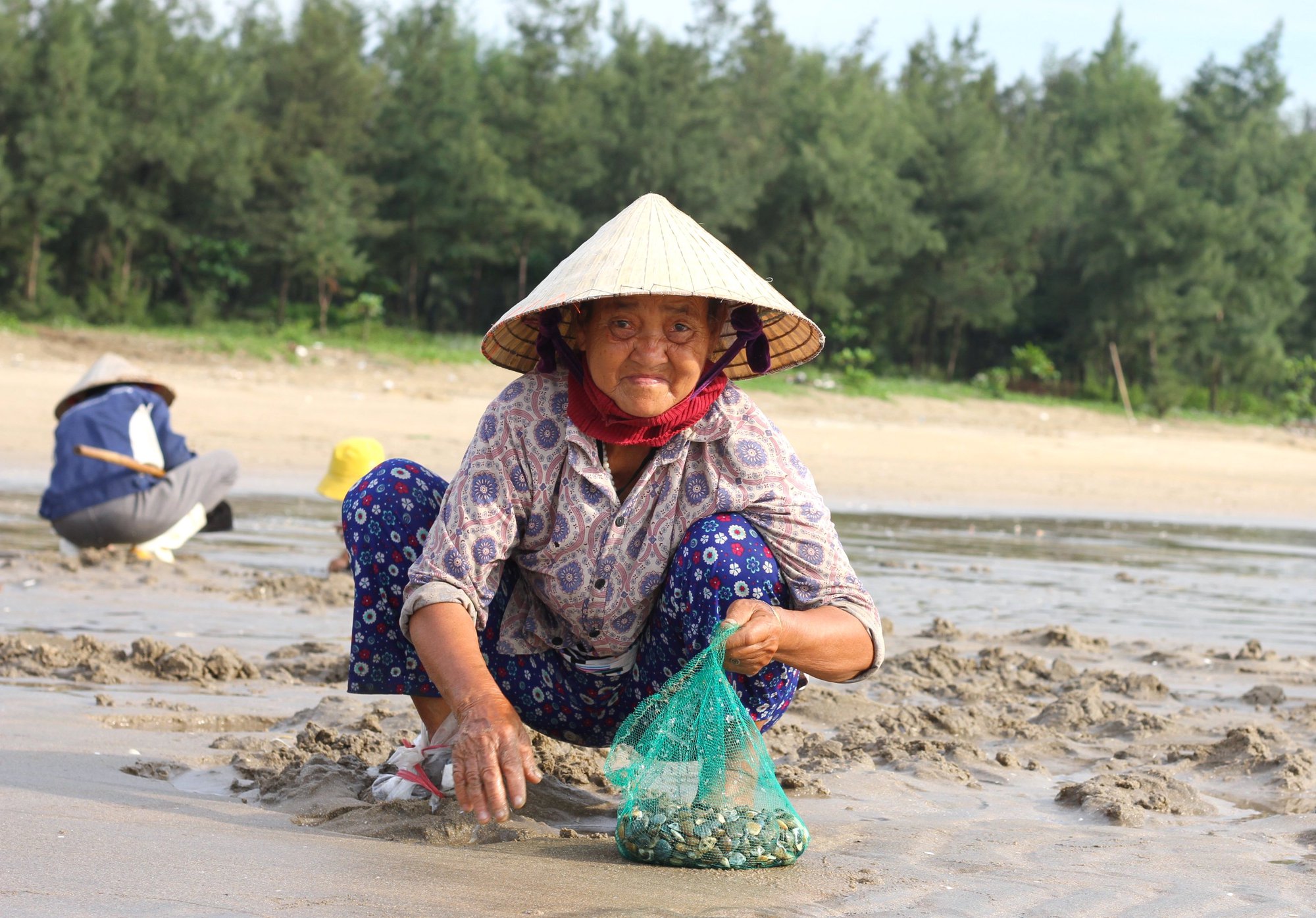 Thi nhau xới tung bãi cát tìm bắt lộc biển ở Nghệ An - Ảnh 2.