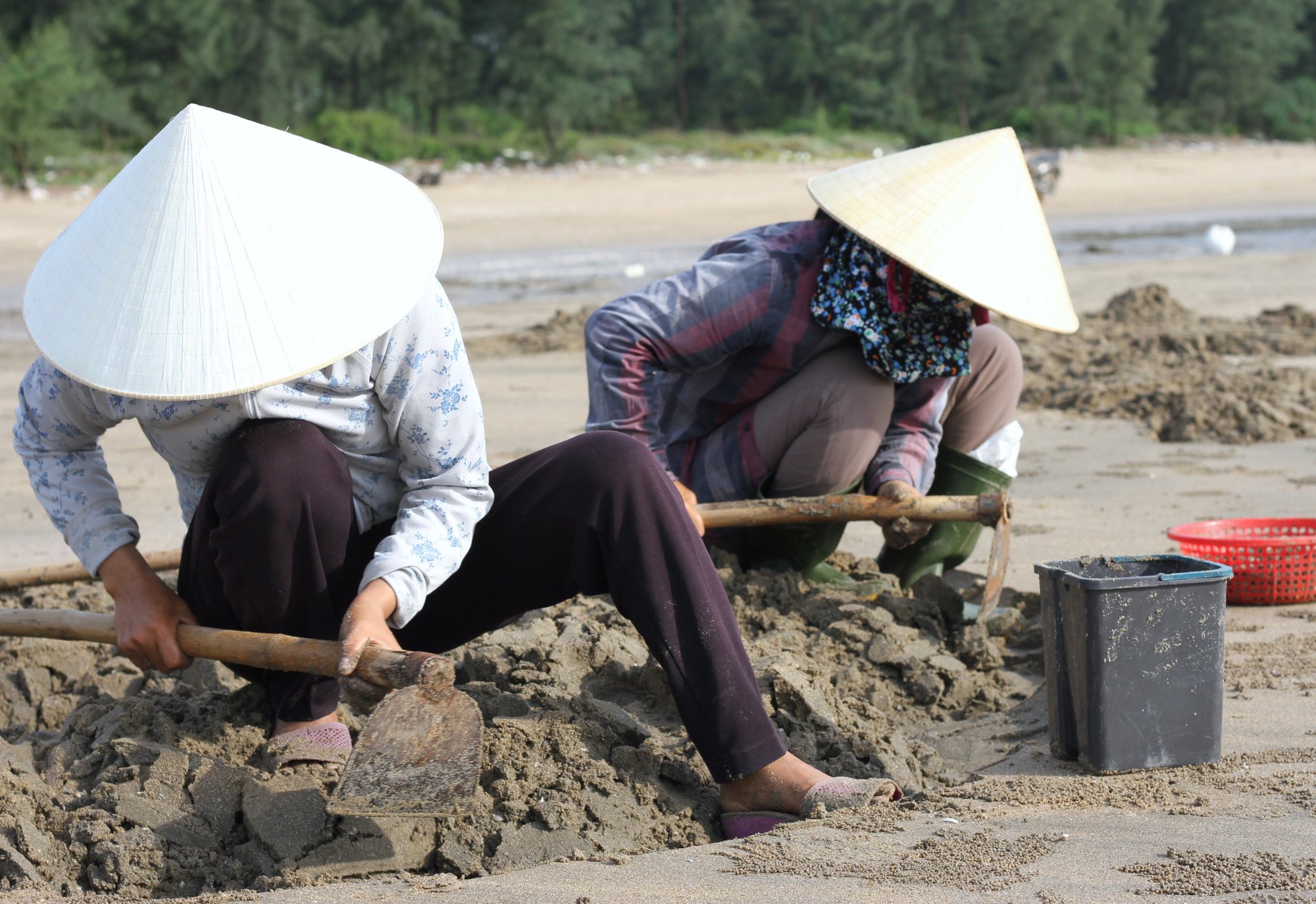 Thi nhau xới tung bãi cát tìm bắt lộc biển ở Nghệ An - Ảnh 5.