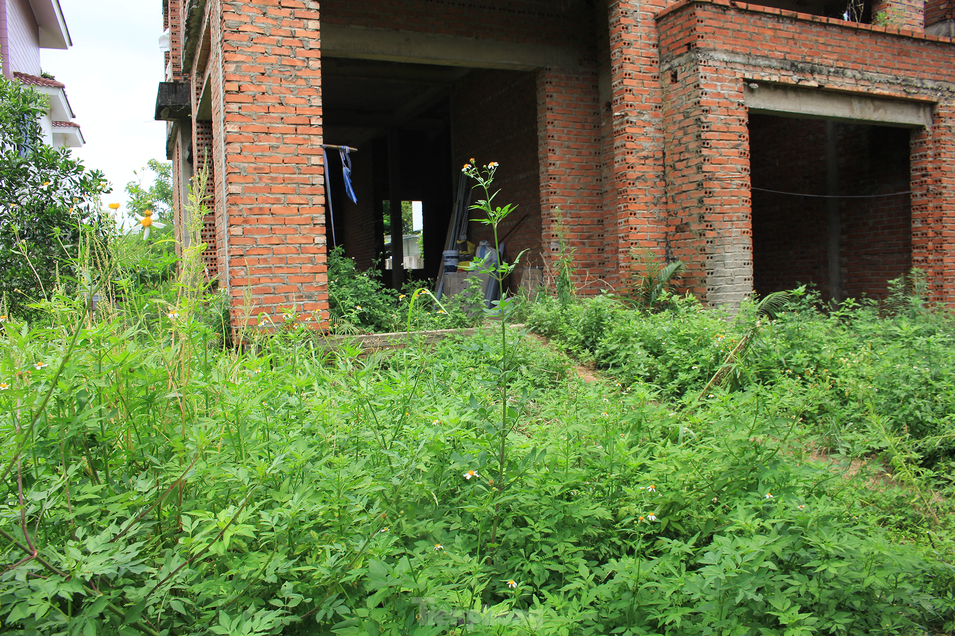Bắc Ninh: Biệt thự tiền tỷ bỏ hoang thành nơi nuôi thả gà nhiều năm - Ảnh 15.