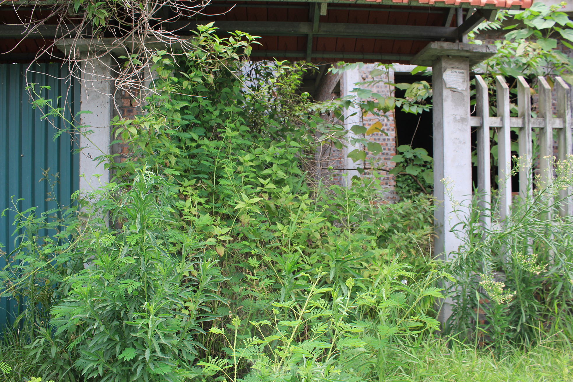 Bắc Ninh: Biệt thự tiền tỷ bỏ hoang thành nơi nuôi thả gà nhiều năm - Ảnh 20.