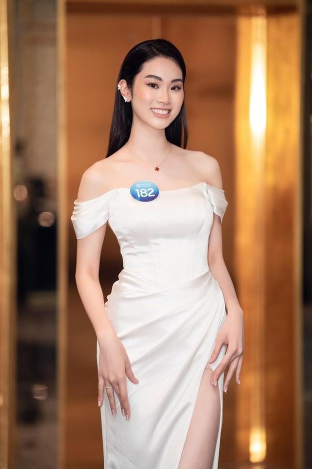 Không giành vương miện Miss World Vietnam, cô gái này vẫn gây ấn tượng vì HỌC VẤN khủng - Ảnh 1.