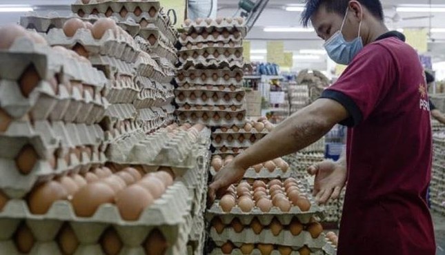 Trung Quốc: Gà đẻ ít hơn vì trời quá nóng, giá trứng tăng chóng mặt - Ảnh 1.