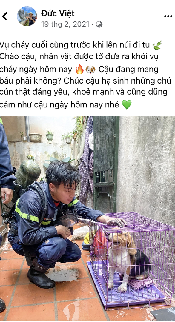 Di ảnh người lính cứu hỏa Đỗ Đức Việt bên chú cún được cứu lay động cộng đồng mạng - Ảnh 2.