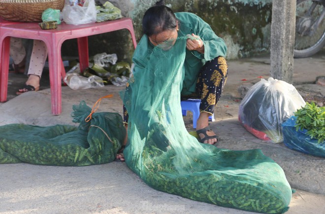 Phiên chợ bán tôm bay, giá nửa triệu mỗi kg vẫn cháy hàng - Ảnh 5.