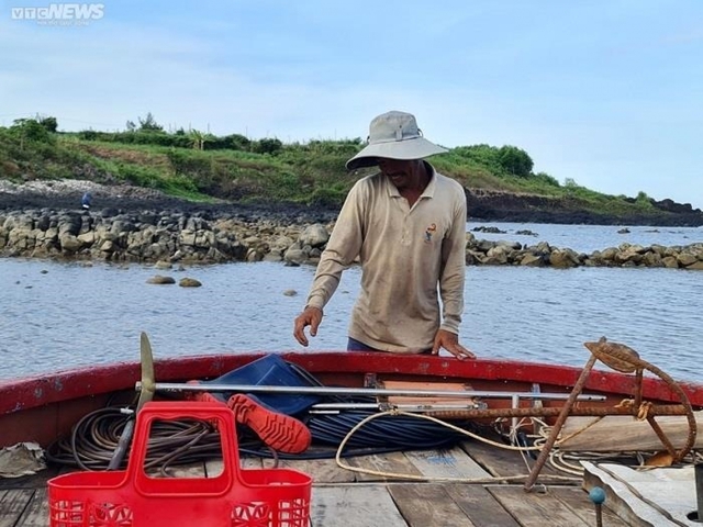 Lặn biển săn nhum, ngư dân Quảng Ngãi phấn khởi thu bạc triệu  - Ảnh 3.