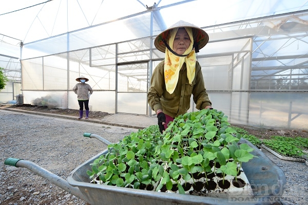 Nghịch lý “ai chơi với nông dân cũng giàu” - Ảnh 1.