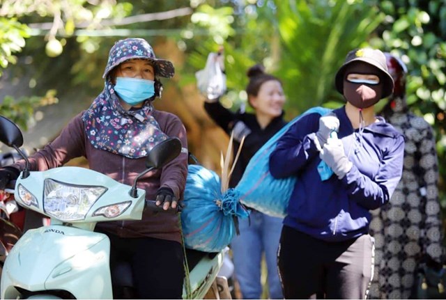 Người dân miền núi Hà Tĩnh kiếm bội tiền nhờ cây có quả đen nhánh - Ảnh 4.