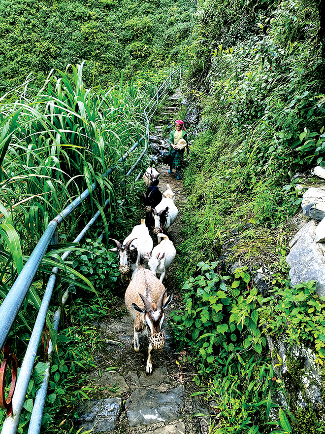 Vách đá trắng - chốn ngủ view ngàn tỉ - Ảnh 6.