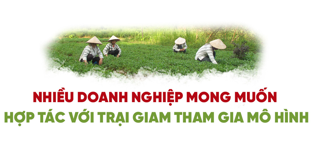 Doanh nghiệp muốn hợp tác với trại giam đưa phạm nhân ra ngoài lao động - Ảnh 1.