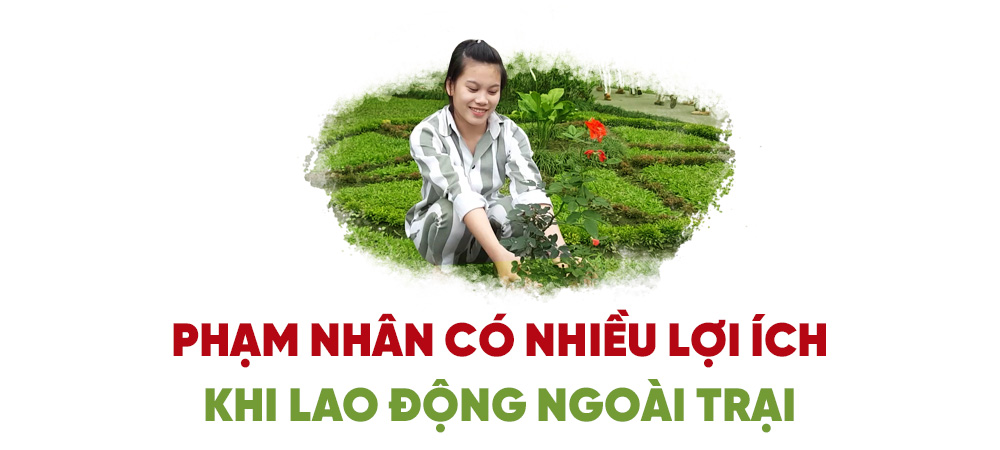 Doanh nghiệp muốn hợp tác với trại giam đưa phạm nhân ra ngoài lao động - Ảnh 14.