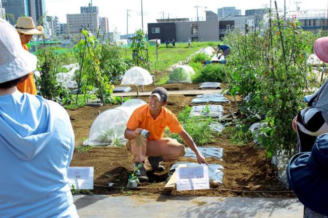 Thú vui điền viên của dân thành thị Nhật Bản: Thuê đất trồng rau, nghỉ việc về làm nông dân tại thành phố tấc đất tấc vàng - Ảnh 12.