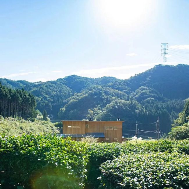 Thú vui điền viên của dân thành thị Nhật Bản: Thuê đất trồng rau, nghỉ việc về làm nông dân tại thành phố tấc đất tấc vàng - Ảnh 5.