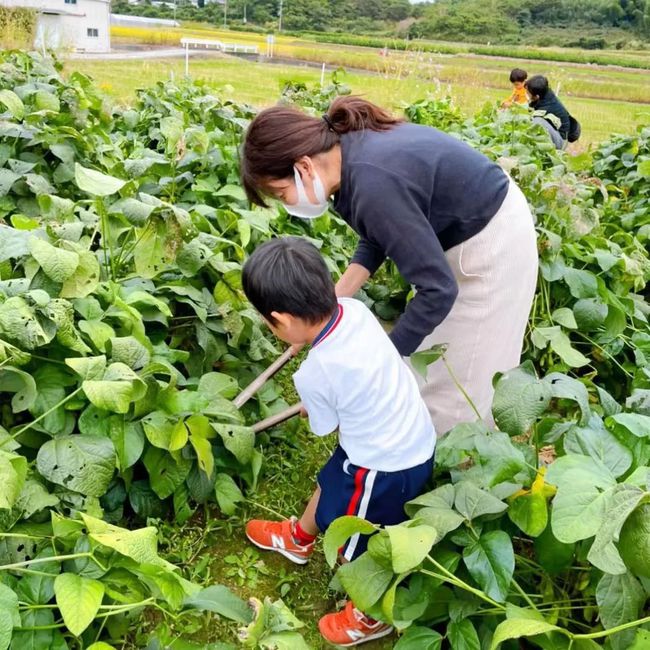 Thú vui điền viên của dân thành thị Nhật Bản: Thuê đất trồng rau, nghỉ việc về làm nông dân tại thành phố tấc đất tấc vàng - Ảnh 10.