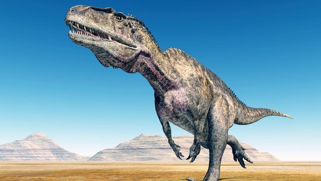 Dấu vết của khủng long cổ đại cao gần 20m từ 113 triệu năm trước lộ ra dưới lòng hồ Texas - Ảnh 1.