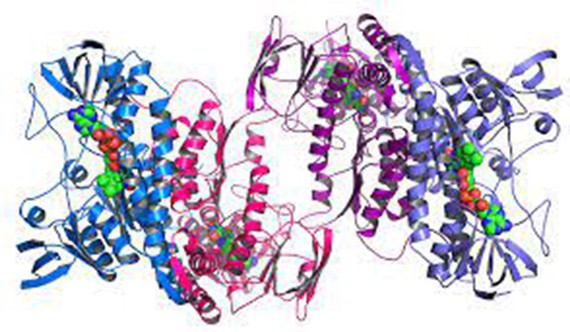 Mở rộng kho dữ liệu cấu trúc protein - Ảnh 1.