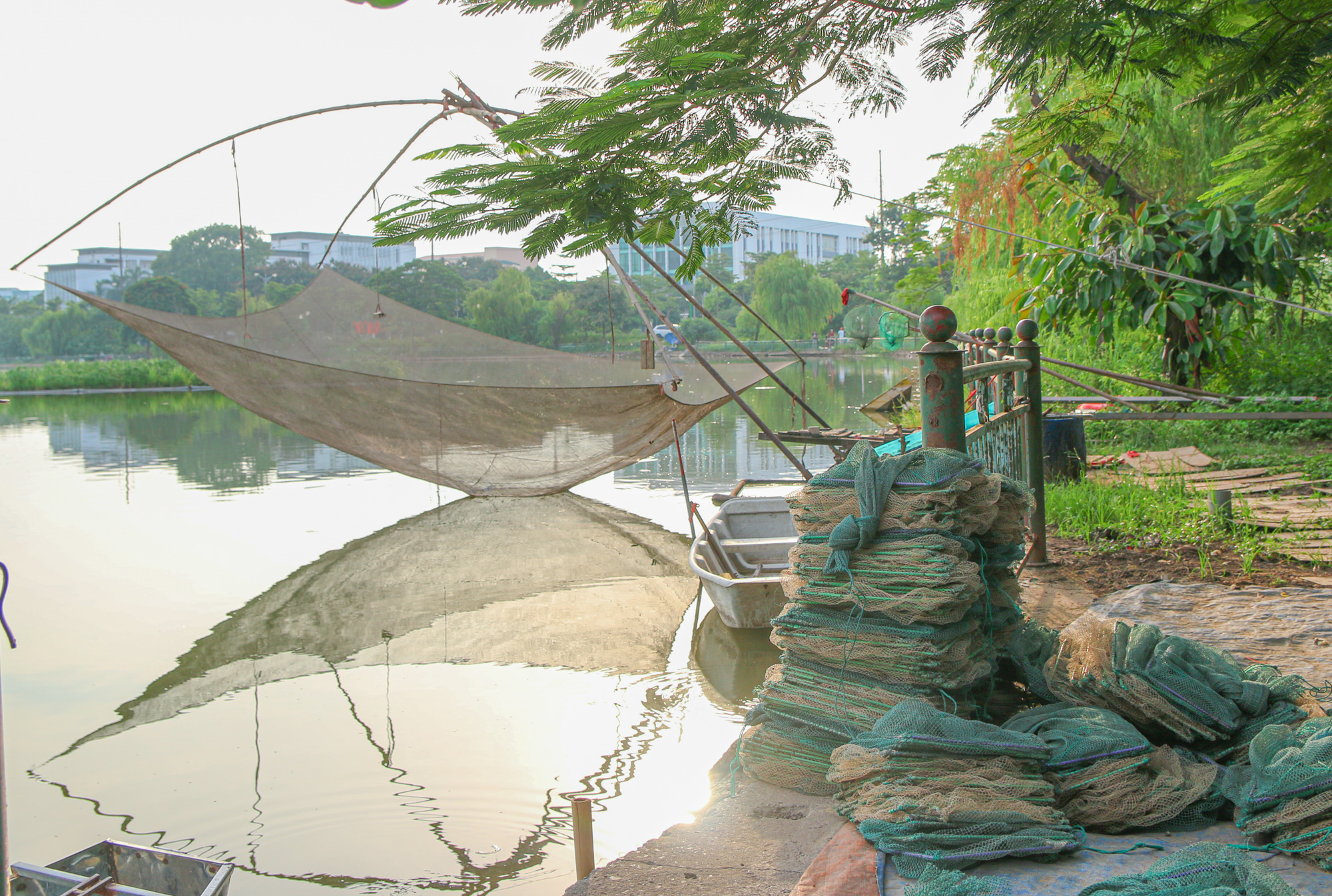 Công viên 16 ha ở Hà Nội bỏ hoang thành nơi trồng rau, đánh cá  - Ảnh 8.