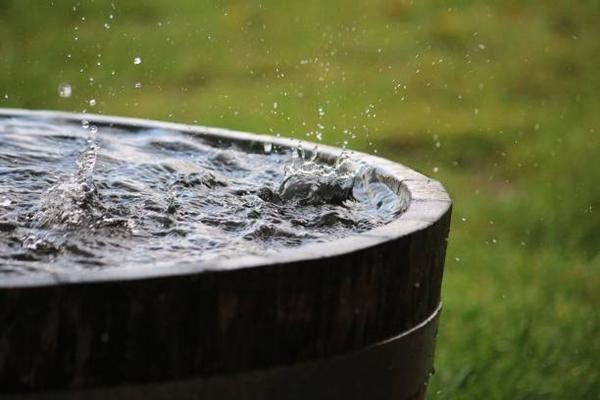 Nước mưa trên khắp thế giới đều có các hóa chất gây ung thư, khuyến cáo không sử dụng - Ảnh 2.