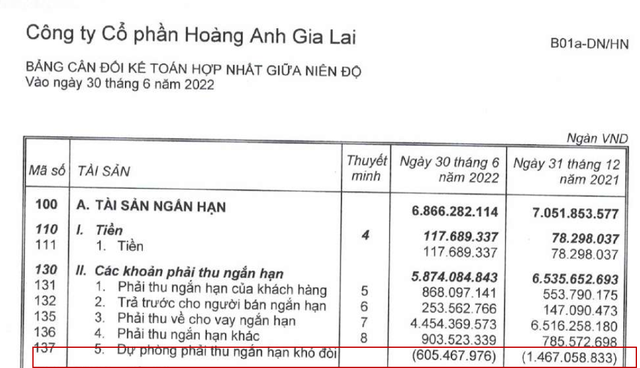 Không hẳn trồng chuối hay nuôi heo, đây mới là nhân tố chính giúp HAGL lãi to - Ảnh 3.