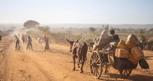 Hạn hán liên tiếp xảy ra ở Madagascar đã đẩy người dân đến bờ vực của nạn đói - Ảnh 2.