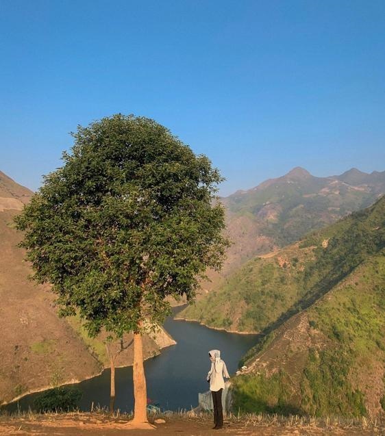 8 cây cô đơn nổi tiếng, được check-in nhiều nhất Việt Nam  - Ảnh 3.