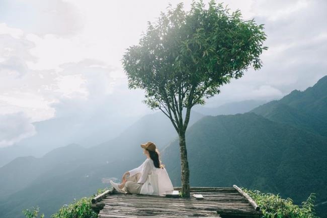 8 cây cô đơn nổi tiếng, được check-in nhiều nhất Việt Nam  - Ảnh 7.