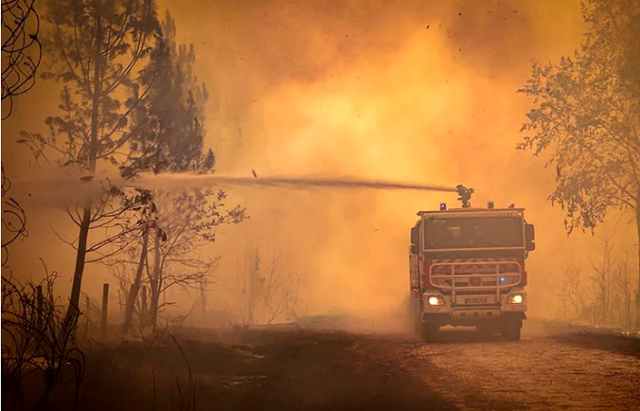 Hạn hán và cháy rừng do nắng nóng - những vấn đề Pháp cần giải quyết - Ảnh 1.