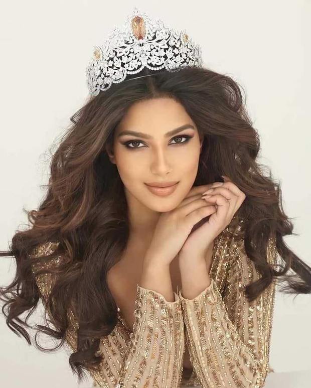 Miss Universe chấp nhận phụ nữ có chồng sinh con, Phạm Hương được fan gọi tên... thi lại - Ảnh 6.