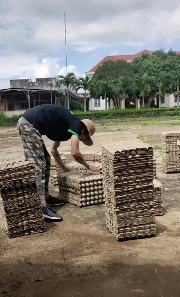 Chàng trai bỏ Nhật Bản về quê nuôi dế, xoay sở với 10 triệu đến ngày doanh thu khởi sắc - Ảnh 12.