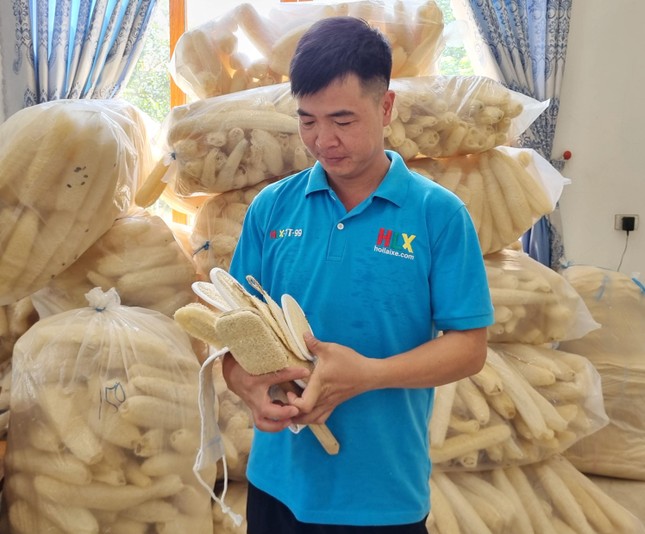 Nghỉ việc ngân hàng lương cao, chàng trai Bắc Ninh biến xơ mướp thành sản phẩm xuất khẩu nghìn đô - Ảnh 17.