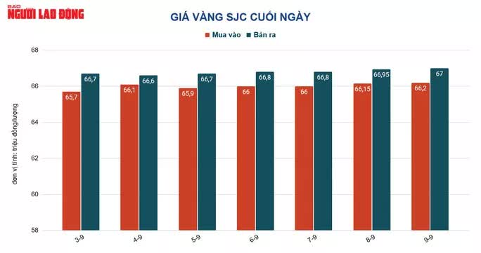 Giá vàng hôm nay 10-9: Vọt lên rồi giảm mạnh - Ảnh 1.