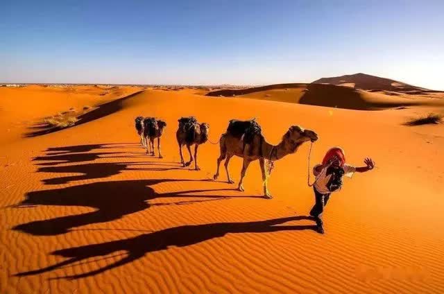 Bên dưới lớp cát dày của sa mạc Sahara ở Châu Phi có gì? - Ảnh 5.