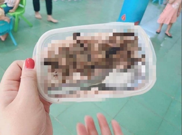 Bức ảnh chụp hộp cơm với thịt chuột gây xôn xao: Là ảnh chụp từ 3 năm trước - Ảnh 1.