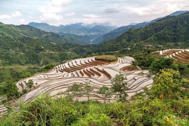 Khách Tây đi săn cánh đồng lúa đẹp nhất Việt Nam: Chặng đường dài nhưng quá xứng đáng - Ảnh 9.