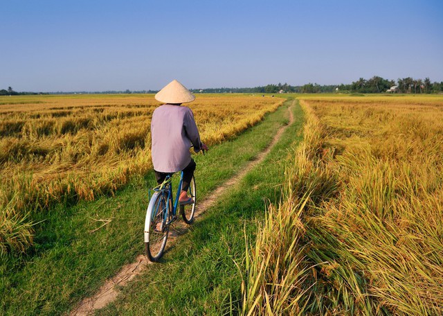 Khách Tây đi săn cánh đồng lúa đẹp nhất Việt Nam: Chặng đường dài nhưng quá xứng đáng - Ảnh 4.