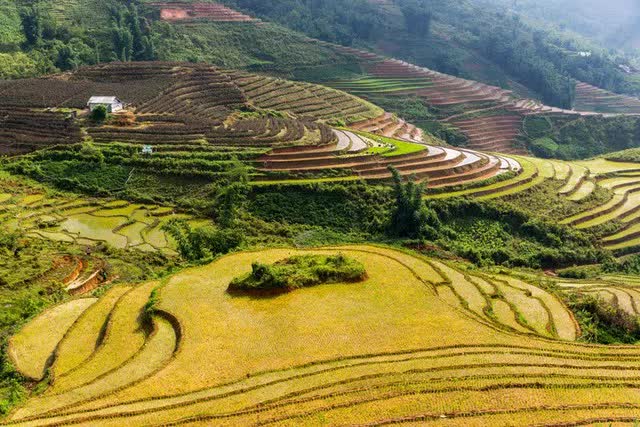 Khách Tây đi săn cánh đồng lúa đẹp nhất Việt Nam: Chặng đường dài nhưng quá xứng đáng - Ảnh 2.