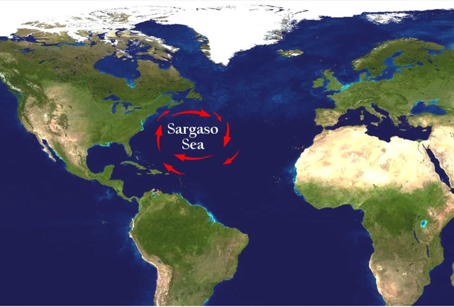 Vùng biển bí ẩn được ví với Bermuda: 4 bề không gió nhưng tàu thuyền qua là biến mất kỳ lạ - Ảnh 1.