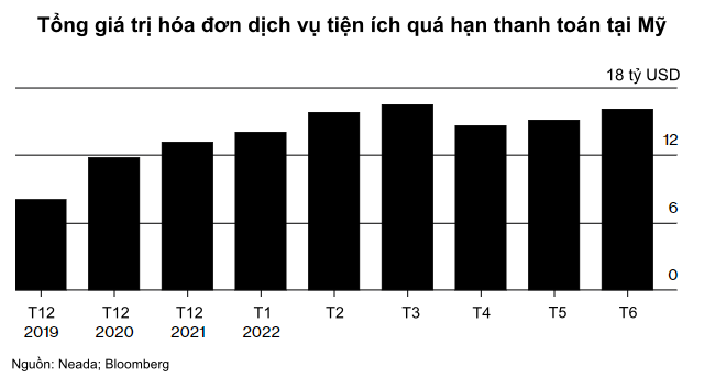  Mỹ: Hơn 20 triệu gia đình không đủ tiền thanh toán phí dịch vụ hàng tháng  - Ảnh 1.