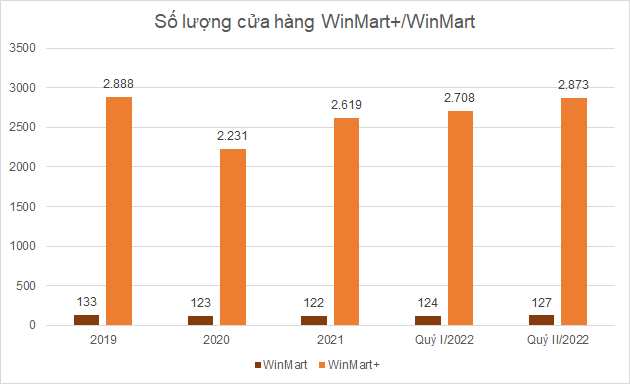 Hai chuỗi bán lẻ thực phẩm lớn nhất Bách Hóa Xanh và WinMart+/WinMart kinh doanh ra sao?  - Ảnh 1.