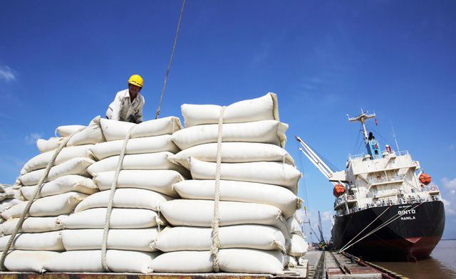  Thủ tướng yêu cầu nghiên cứu việc Ấn Độ cấm xuất khẩu gạo  - Ảnh 1.