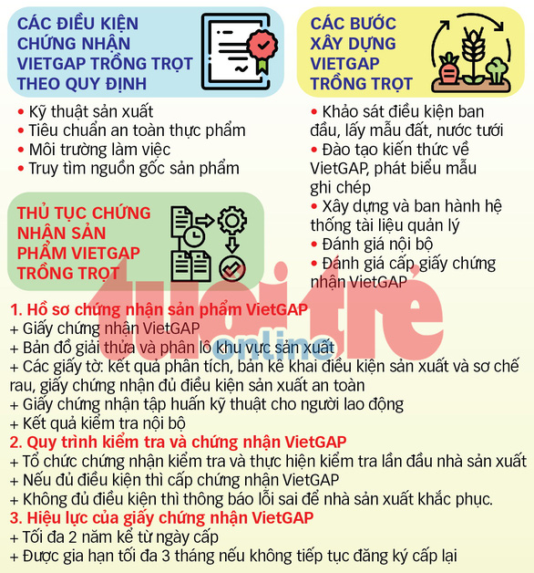  Phanh phui rau VietGAP dỏm: Mua chứng nhận VietGAP dễ như mua rau?  - Ảnh 2.