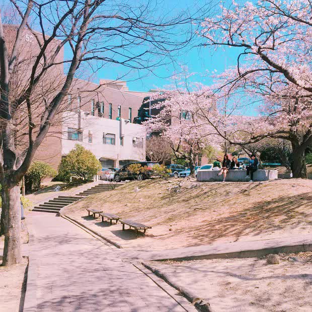 Ngôi trường được mệnh danh là Harvard Hàn Quốc: Thiết kế độc đáo, nơi xuất thân của hàng loạt nhân vật đình đám showbiz - Ảnh 6.