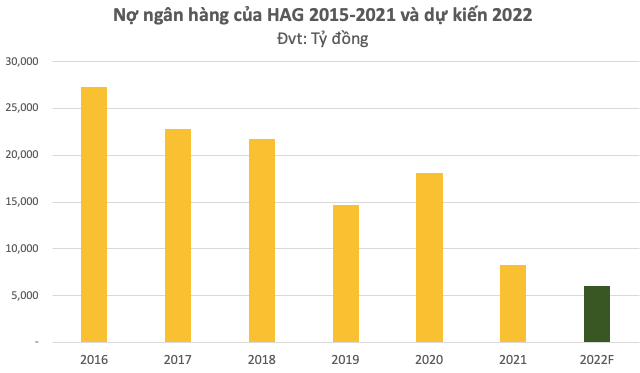  HAGL công bố phương án phát hành 1.700 tỷ mới, dồn tiền cho công ty trồng chuối  - Ảnh 5.