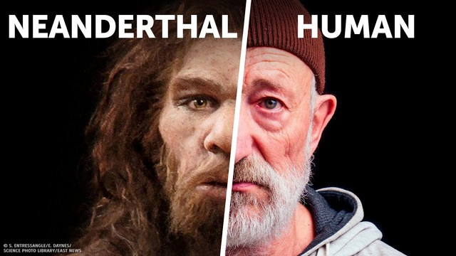 Tại sao người Neanderthal lại thất bại trong cuộc chiến sinh tồn? - Ảnh 5.