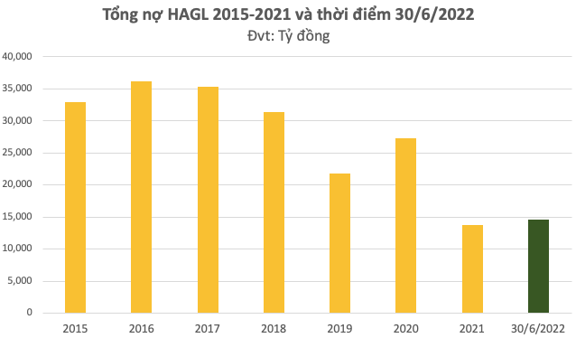  HAGL công bố phương án phát hành 1.700 tỷ mới, dồn tiền cho công ty trồng chuối  - Ảnh 4.