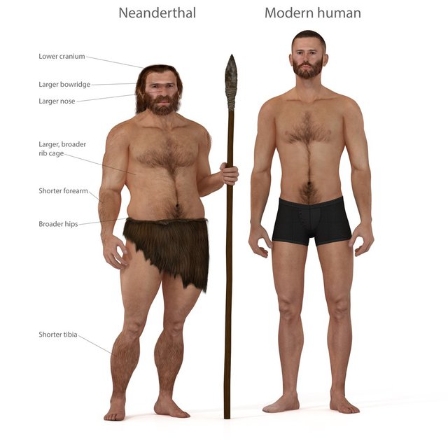Tại sao người Neanderthal lại thất bại trong cuộc chiến sinh tồn? - Ảnh 4.