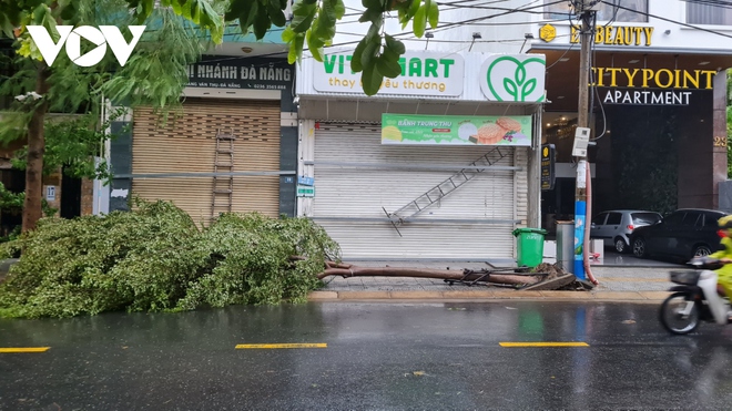 Trực tiếp: Nhiều nơi bắt đầu mưa to, nhà cửa tốc mái, cây xanh gãy đổ - Ảnh 25.