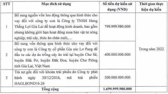  HAGL công bố phương án phát hành 1.700 tỷ mới, dồn tiền cho công ty trồng chuối  - Ảnh 1.