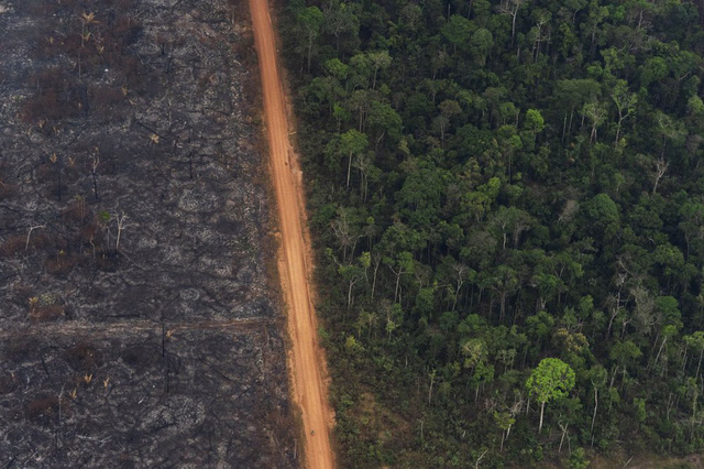 Cháy rừng Amazon tại Brazil diễn ra tồi tệ nhất kể từ tháng 9/2010 - Ảnh 1.