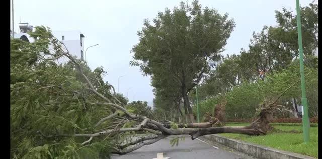 Siêu bão Noru đổ bộ: Hàng trăm ngôi nhà bị tốc mái, cây đổ la liệt, 4 người bị thương - Ảnh 3.