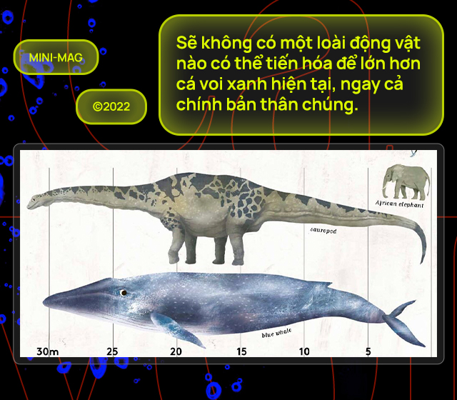 Lắng nghe nhịp đập trái tim của loài động vật lớn nhất từng tồn tại trên Trái Đất - Ảnh 11.